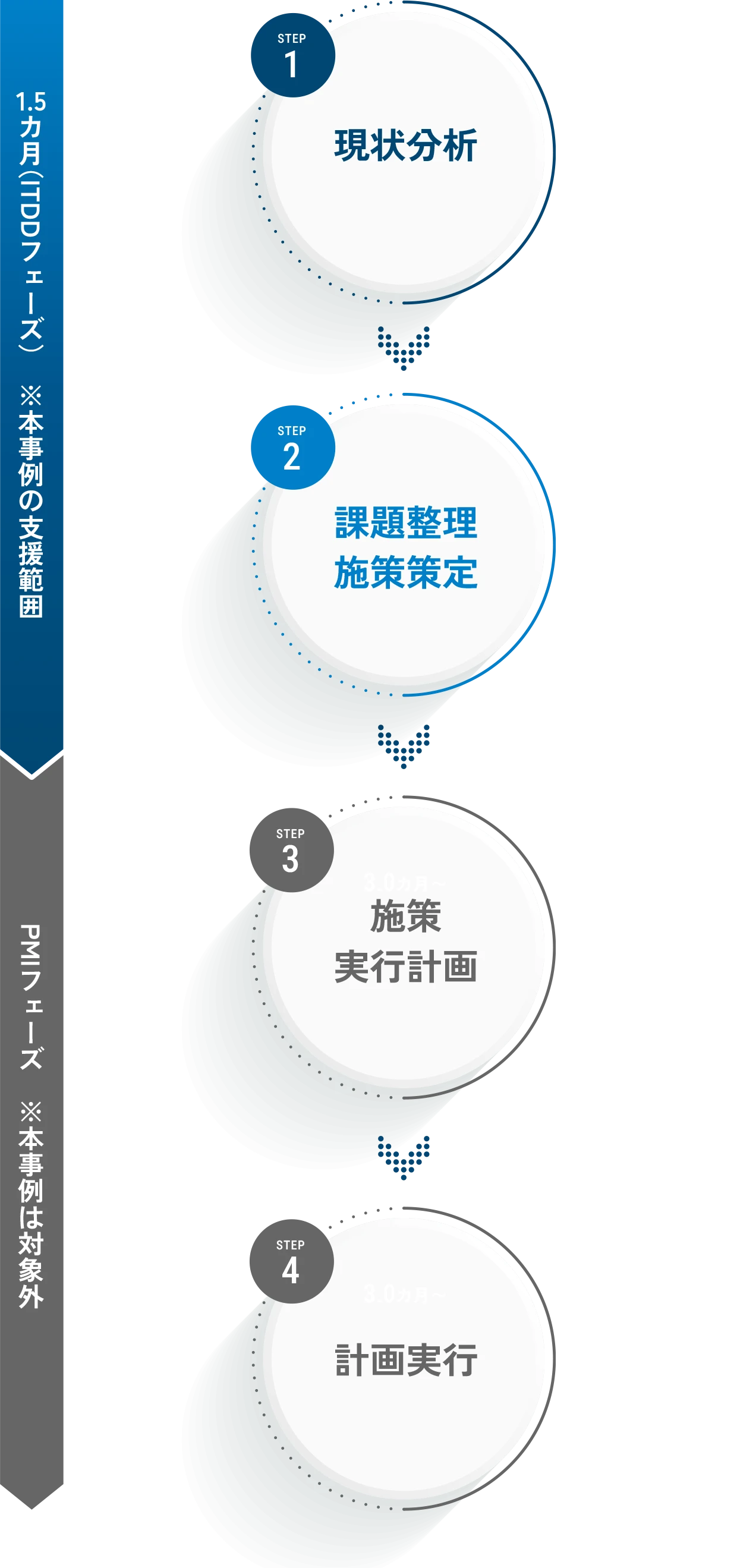 実行ステップと実施期間