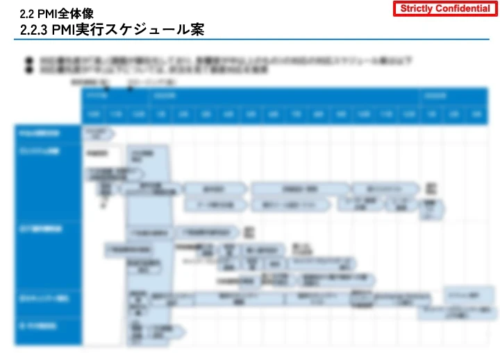 PMI実行スケジュール案